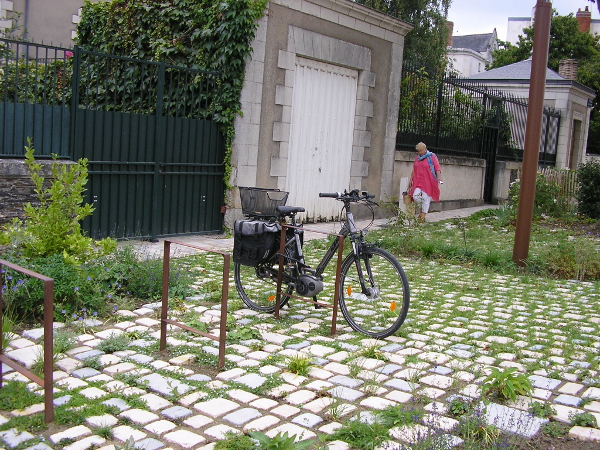 Angers. Bout du Monde. © Phytolab