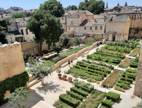 Les Jardins du palais et le Verger Urbain-V