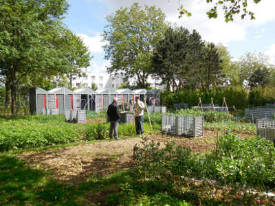 Le jardin des cultures à Lille. © DR.