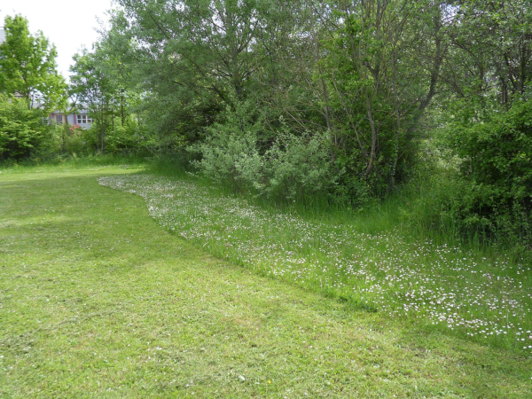 Parc de l’étuvée. © Orléans-Métropole.