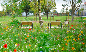 Zéro-phyto : une nouvelle façon d’appréhender les espaces verts