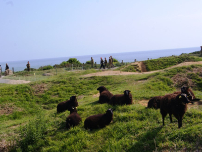 Entretien du site de la Pointe du Hoc. © Solveg.