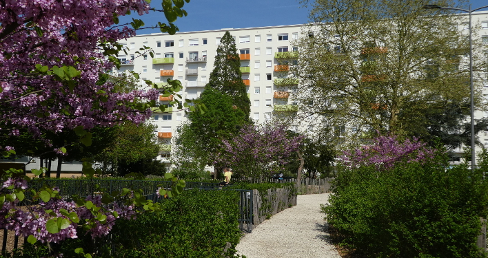 Le quartier sensible Saint-Cyprien à Poitiers (86) a été entièrement requalifié autour du végétal en 2014