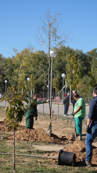 Plantation collective d’arbres fruitiers. © VAL’HOR