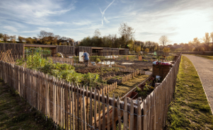 Les jardins partagés, des espaces en forte demande