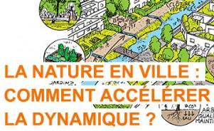 La nature en ville : comment accélérer la dynamique ?