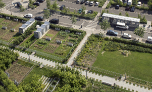 L’agriculture urbaine au cœur de la ville-nature