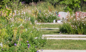 Cimetières : comment fleurir aux endroits stratégiques ?