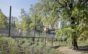 Forêts urbaines : de l’idée à la réalité