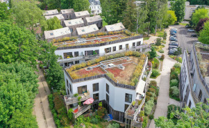 « C'est l'existence des arbres remarquables qui a dicté la forme et l'implantation des bâtiments avec cette volonté d’avoir toujours une perspective sur la verdure environnante. »