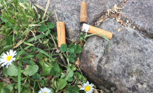 Comment gérer la cigarette dans les parcs et jardins publics ?