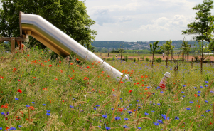 Semez pour une ville nature, place au végétal