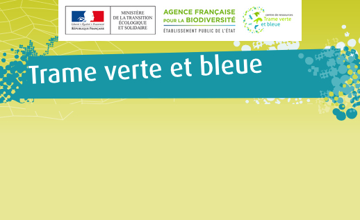 À quelle échelle prendre en compte la Trame verte et bleue dans les aménagements paysagers ?