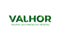 Valhor