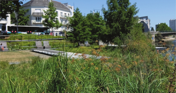 Concevoir et entretenir des espaces de nature en ville favorables à la santé