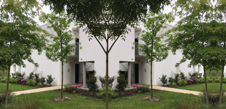 Comment arroser correctement un jeune arbre ?
