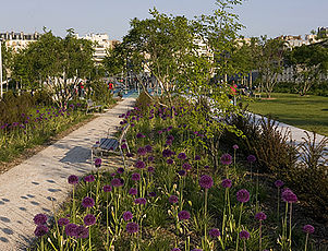 Le parc Clichy-Batignolles Martin Luther King, une expérience de nature en pleine capitale