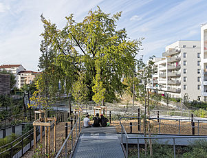 Créer un îlot de nature au cœur d’un quartier urbain dense