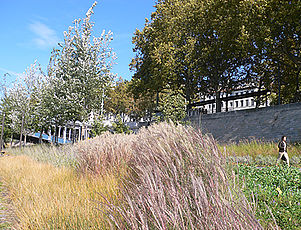 Les berges du Rhône et le parc des berges du Rhône