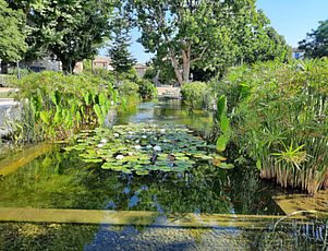 Réaménagement du jardin Charles-Gaou