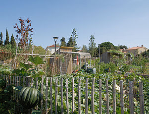 Apaiser un quartier par le paysage