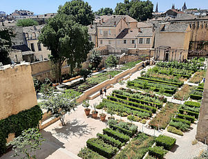 Les Jardins du palais et le Verger Urbain-V