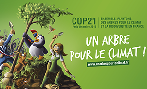 Planter des arbres pour le climat