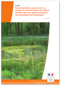 Recommandations pour la prise en compte des fonctionnalités des milieux humides dans une approche intégrée de la prévention des inondations